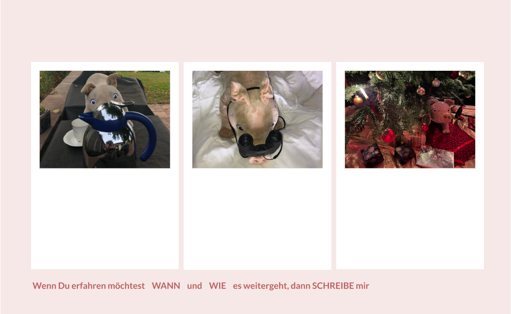 Wenn Du erfahren möchtest    WANN    und    WIE    es weitergeht, dann SCHREIBE mir